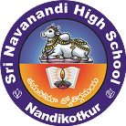 SNHS_logo